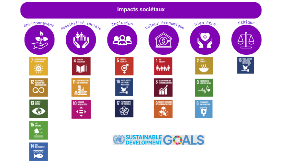 Impacts societaux et UN Goals