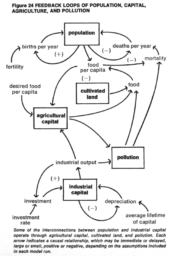 boucle de retroaction the limits to growth