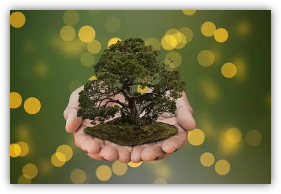 Lire la suite à propos de l’article « The limits to growth » par le club de Rome